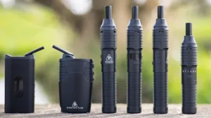 Dry Herb Vaporizers - Key Facts