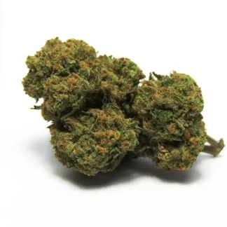 CBD Flower harlequin