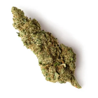 cbd flower certified high mela sour